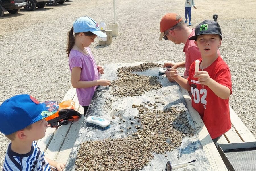 Children looking for gems at Gem Mountain Sapphire Mine