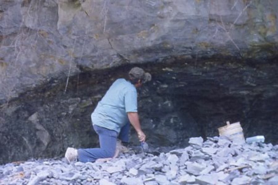 A man hunting for gemstones at Halls Gap