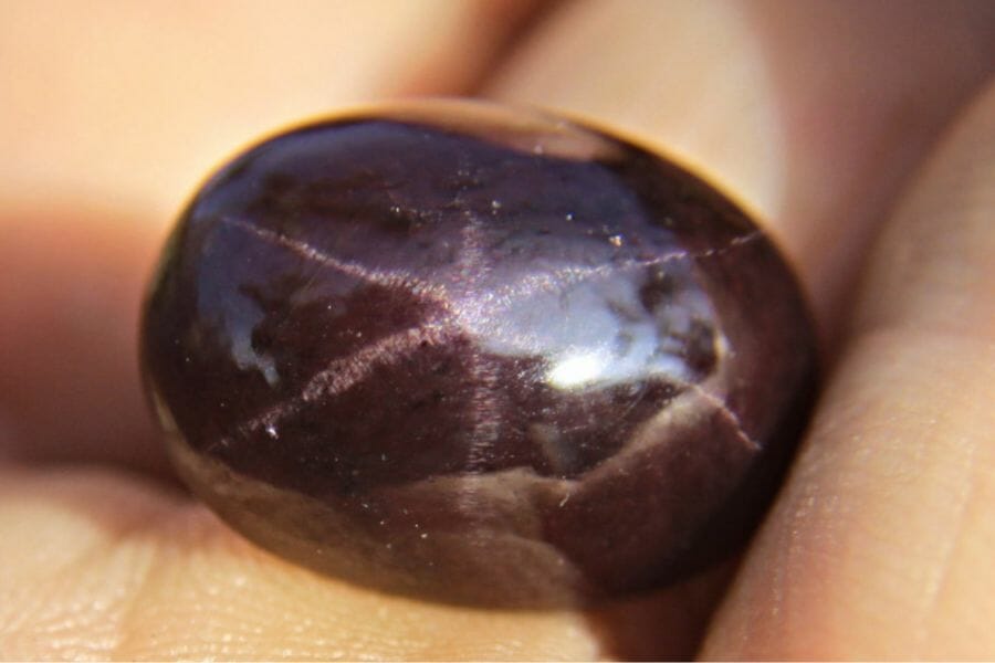 A beautiful deep brown Star Garnet with rays forming a star