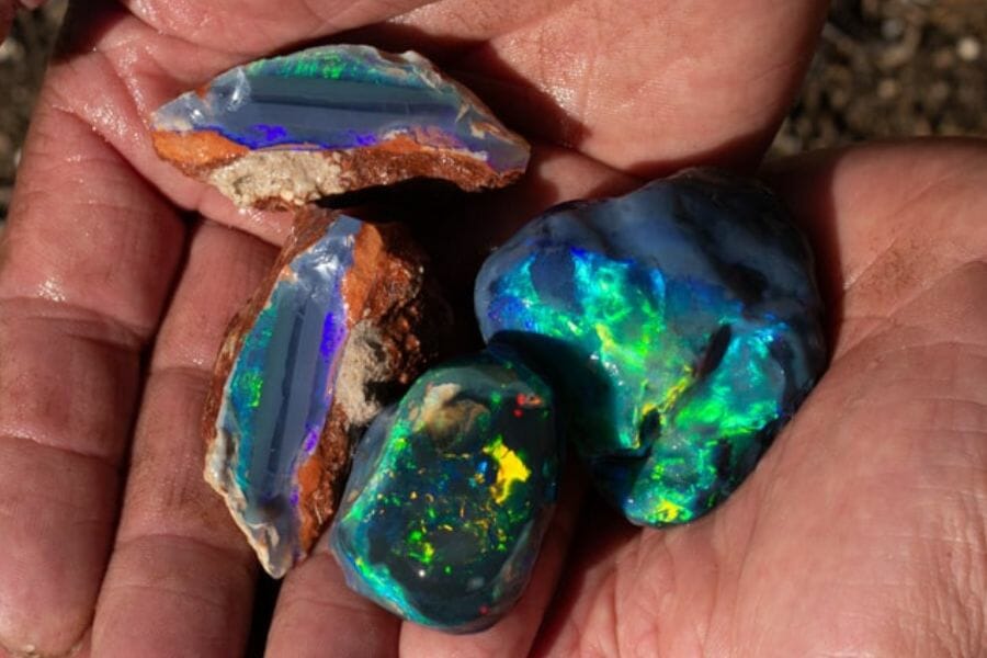 A few pieces of beautiful Black Opals found while gem mining in Nevada