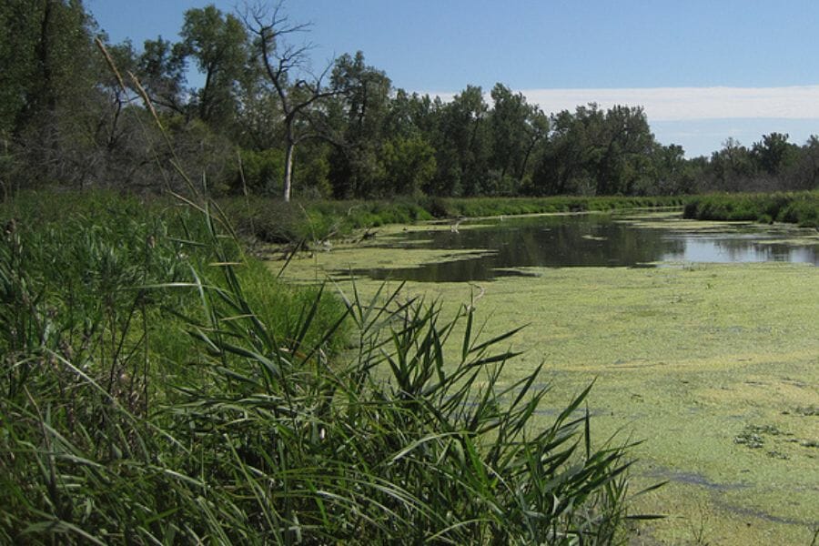 Slough on a nice day