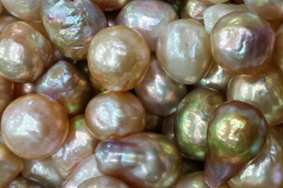 A pile of pretty Freshwater pearls found while gem mining in Tennessee