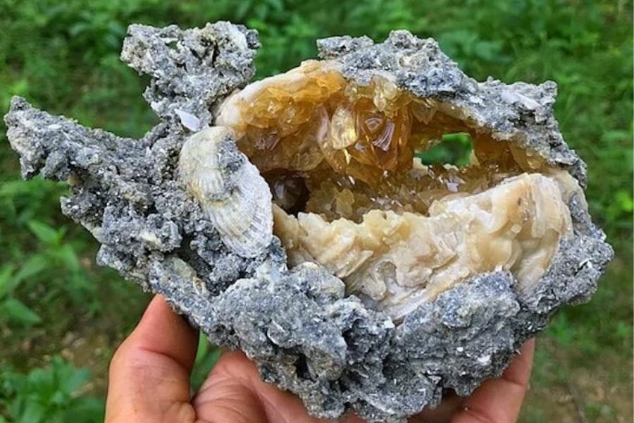 A stunning agatized coral geode with other minerals inside