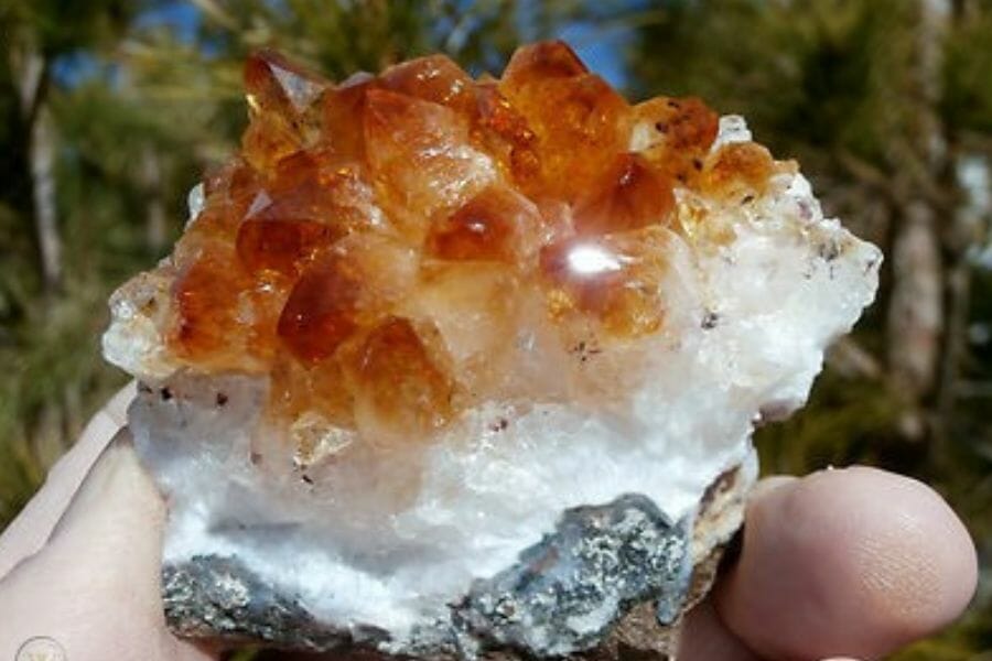 A beautiful small amber geode 