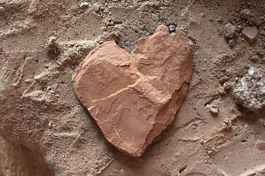 A natural heart-shaped brown Claystone on the ground 