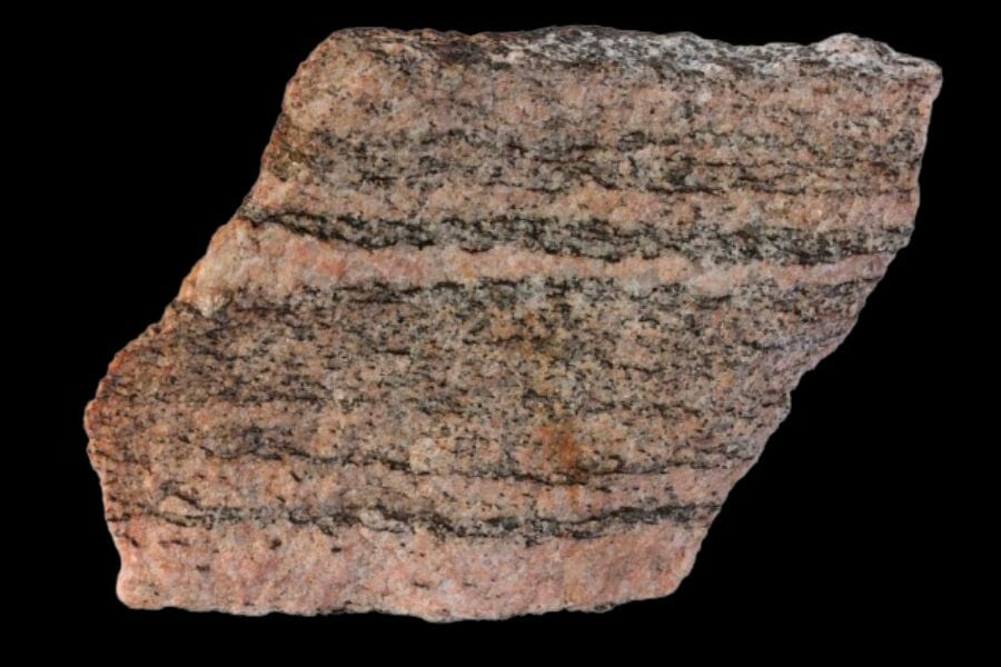 A big brown Gneiss with black horizontal lines