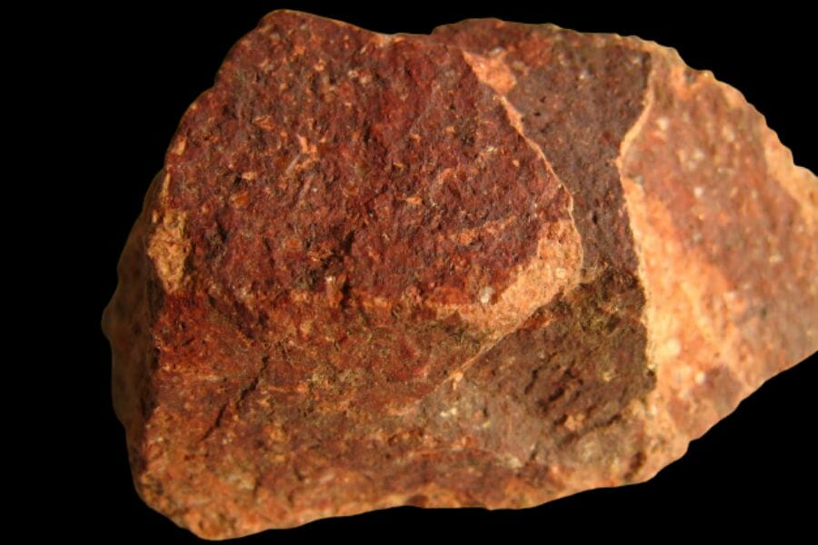 A closeup of a brown Rhyolite