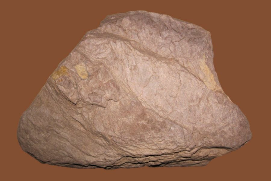 A big specimen of brown Shale