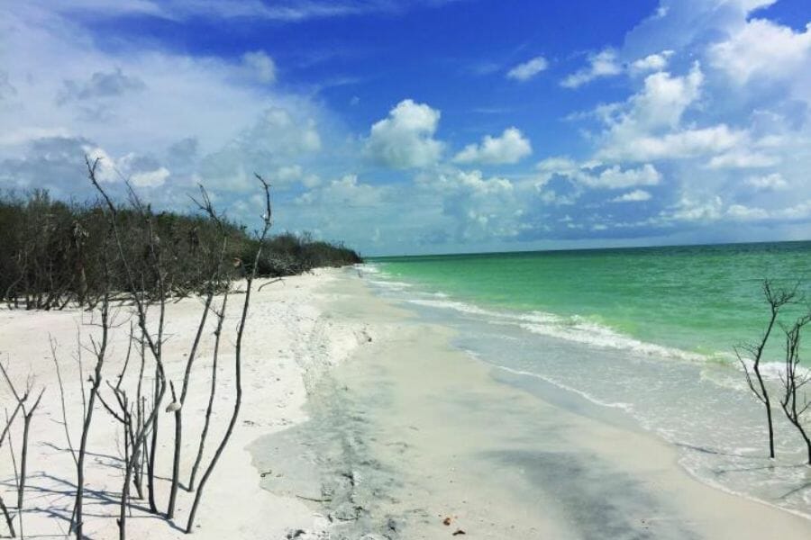 A place where you can hunt for geodes in Caladesi Island State Park