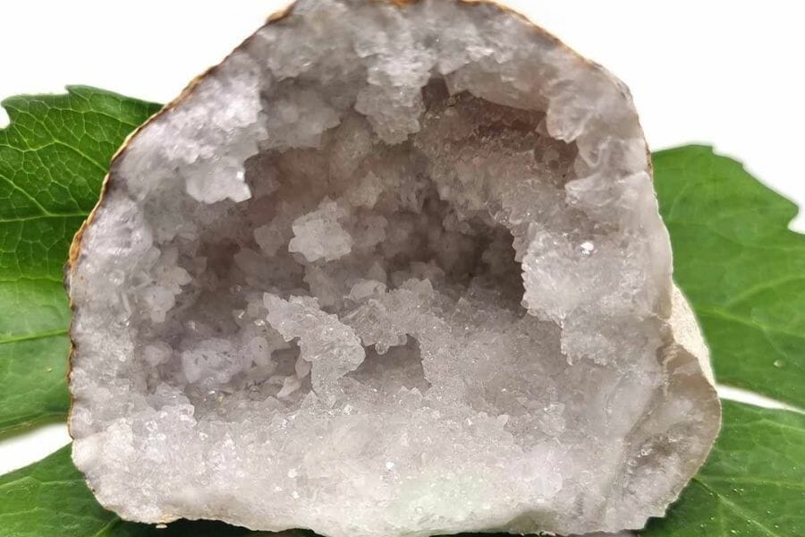 An elegant white calcite geode sitting on a bed of leaves