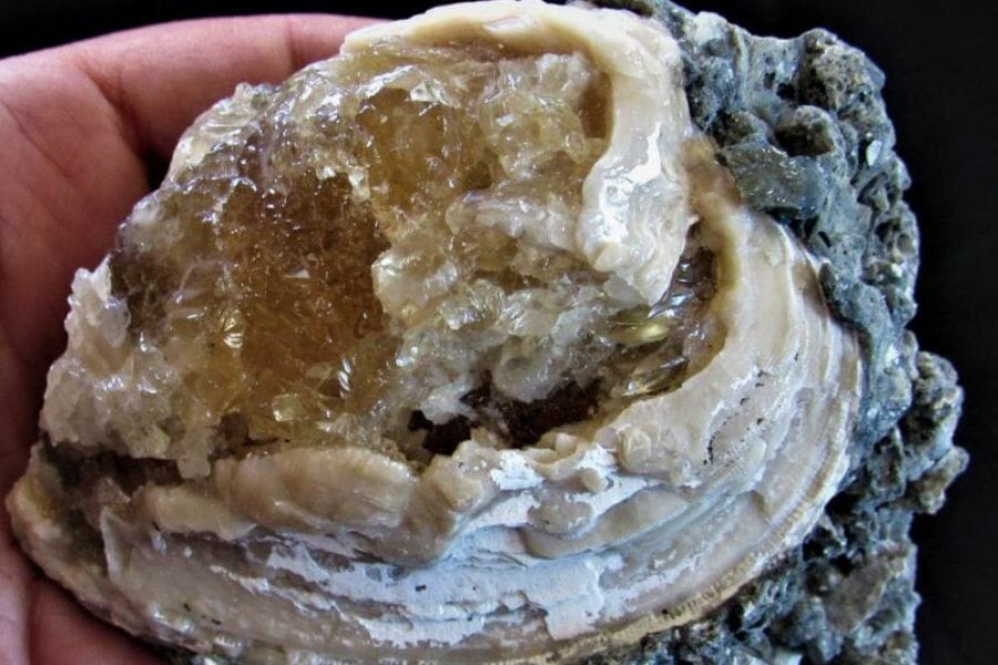 A unique clam geode with big crystals inside
