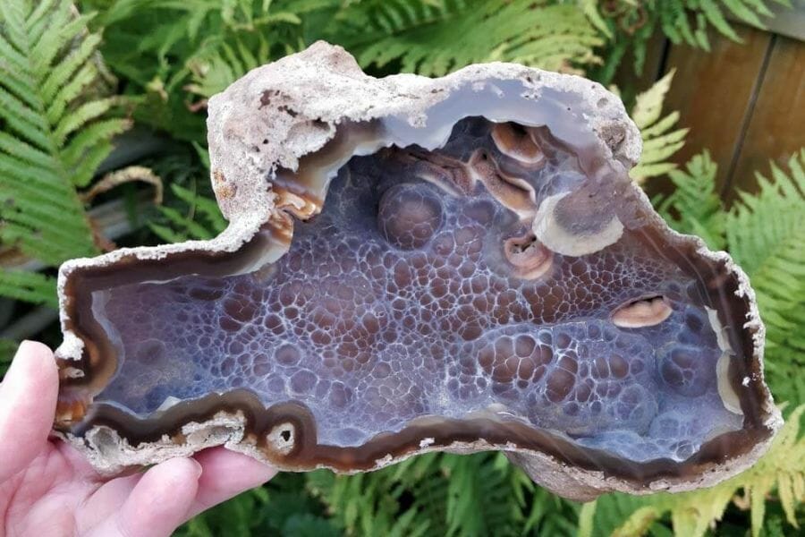 A large pretty coral geode