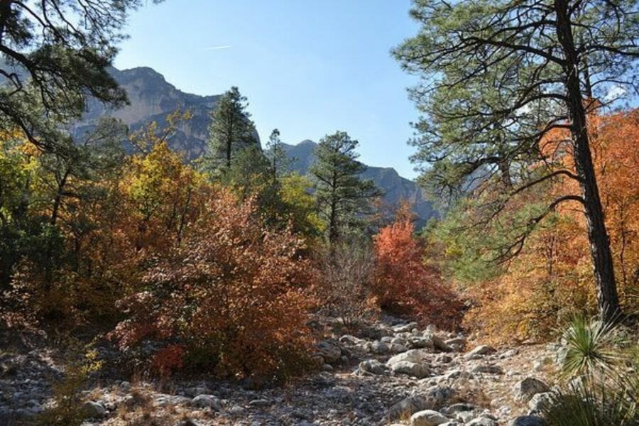 An area in Culberson county where you can hunt geodes