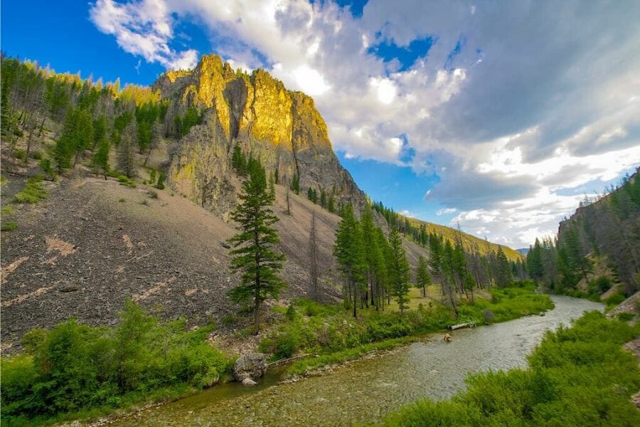 A river and mountain at Custer County surrounded by trees and green grass