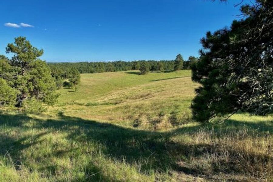 A beautiful lush area at Dawes County