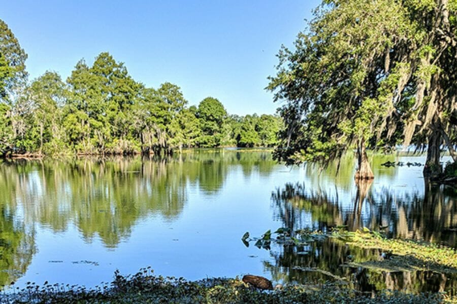 Riverbanks of Hillsborough River where geodes are located