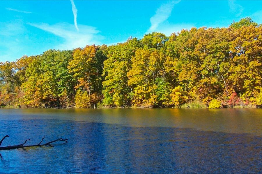 A picturesque view of the Nauvoo State Park in Hancock County