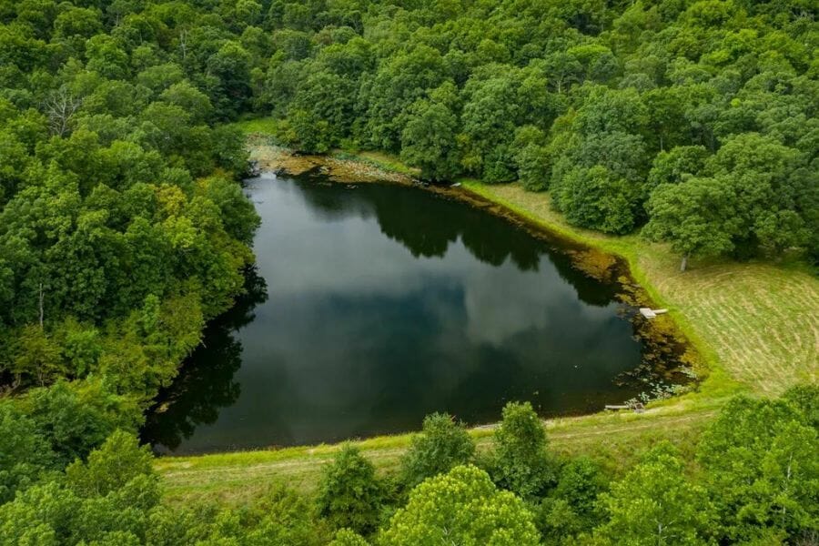 A beautiful, luscious scenery in Pike County, Illinois