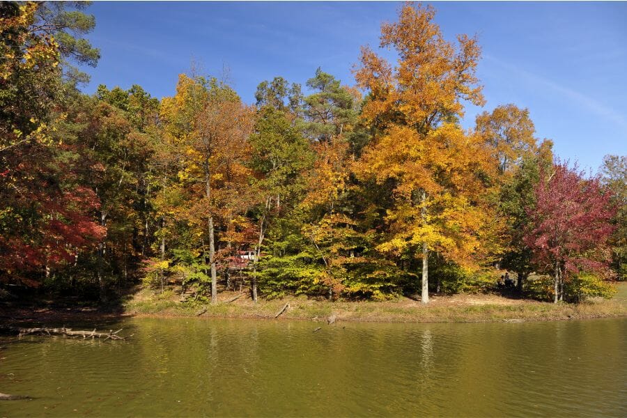 A scenic view of Brown County