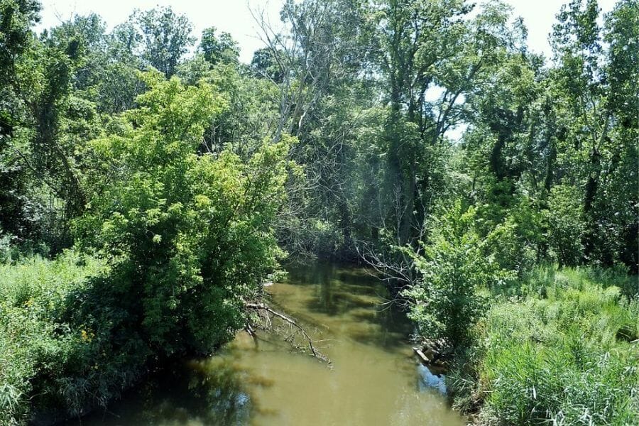 A bird's eyeview of the Salt Creek and its surrounding greeneries