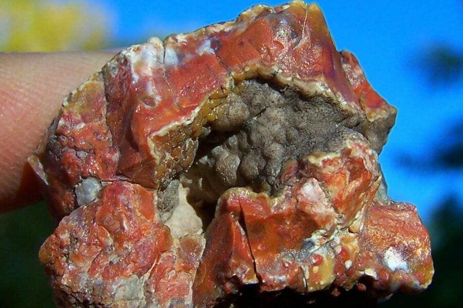A tiny jasper geode with other brown minerals inside