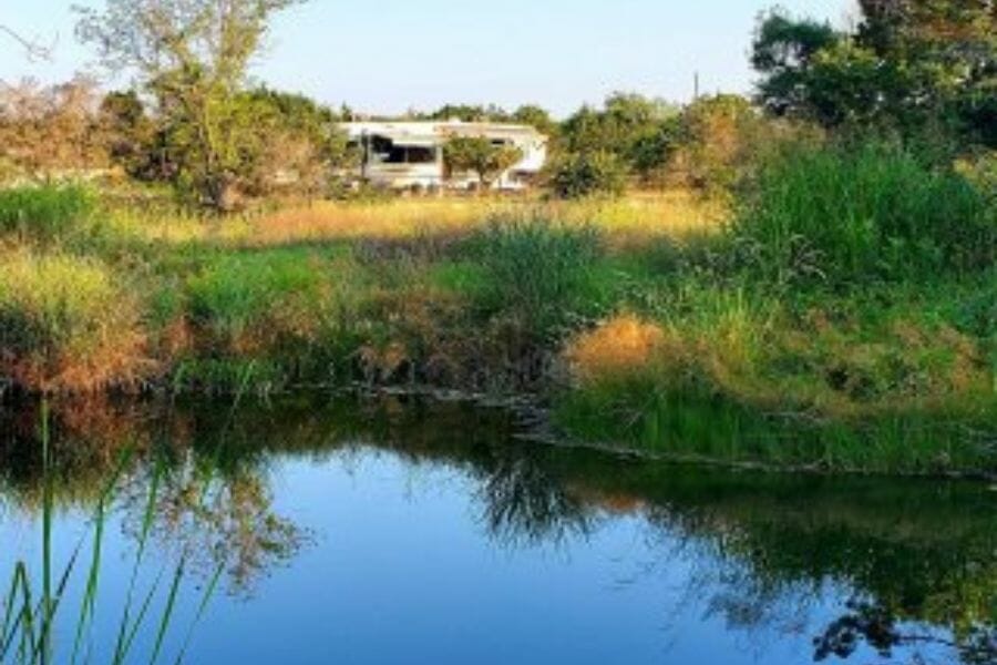 A tranquil area in Little Lucy creek 