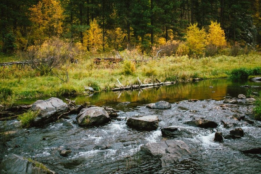 A rushing river surrounded by vibrant trees at Lawrence County