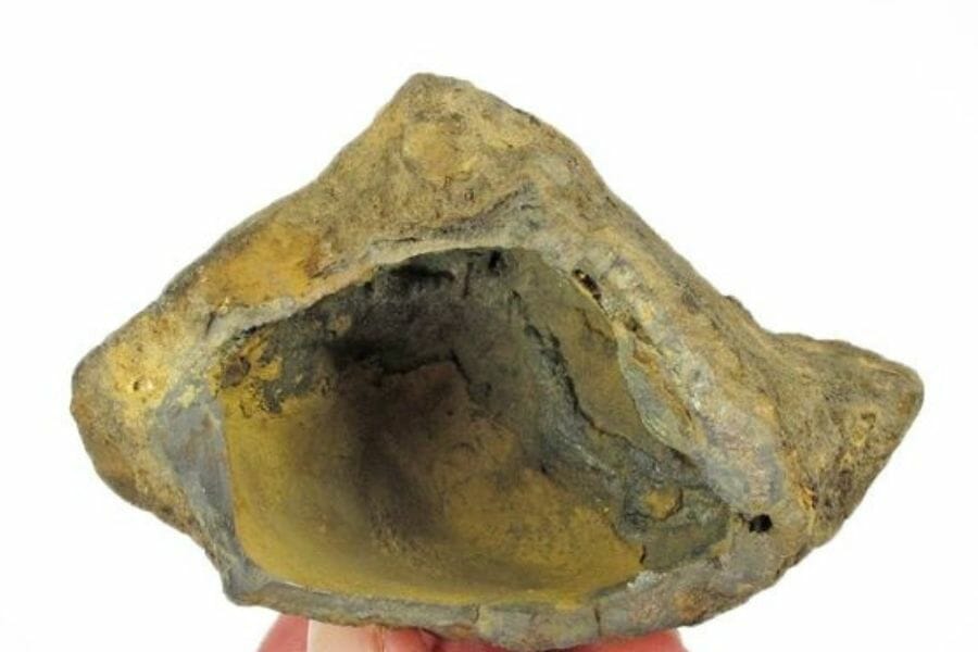 A triangular shaped limonite geode
