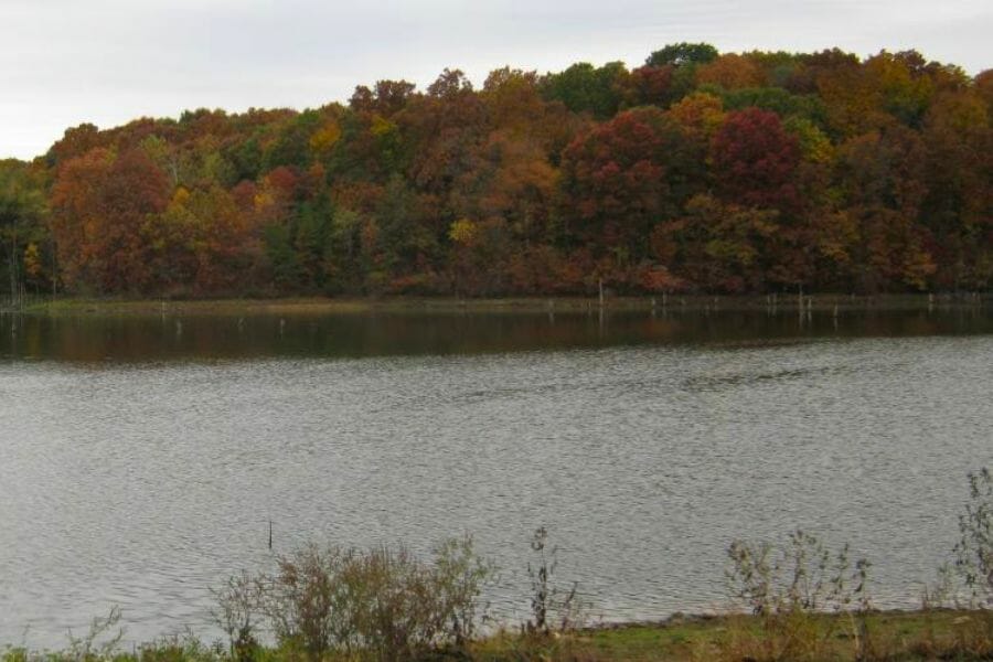 Fox River's panoramic view during spring