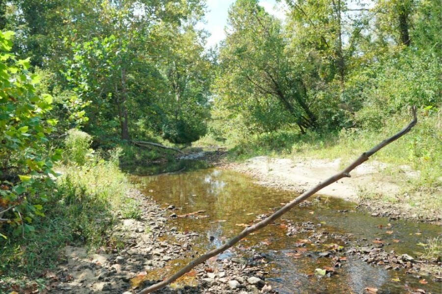 A landscape view of the waters of Weaver's Branch