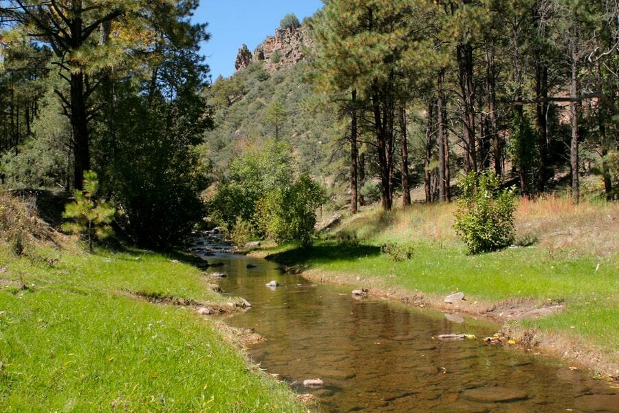 A look at the geography of Luna area in Catron County showing a creek and surrounding lush greens and trees