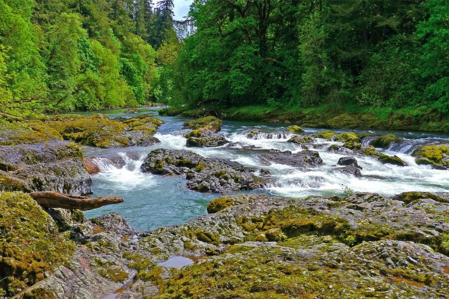 A scenic view of the Calapooia River