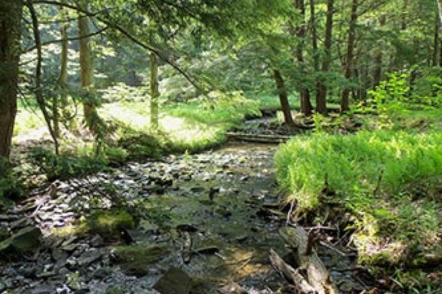 Rural location to hunt for geodes
