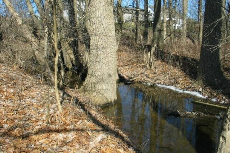 A still creek surrounded by trees in Somerset County 