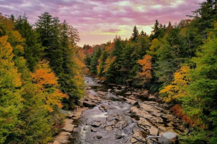 A flowing creek at Tucker County surrounded by tall trees and bed rocks