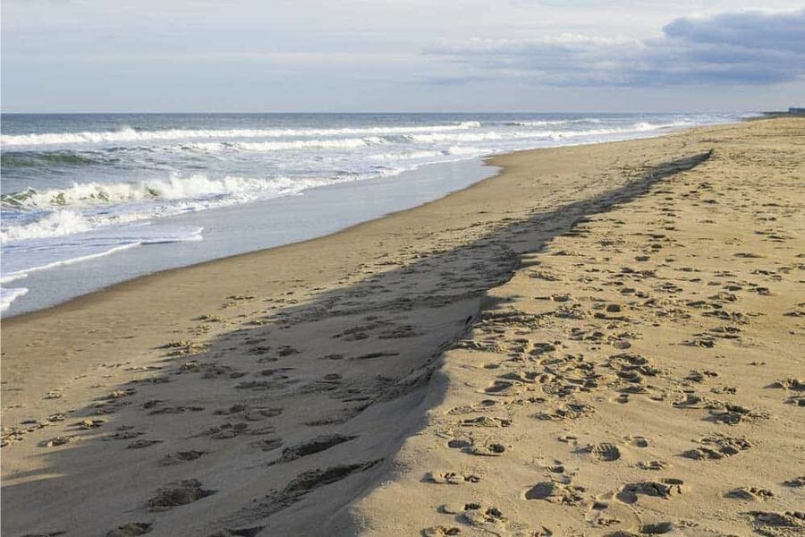 Shores of Virginia Beach where you can find geodes