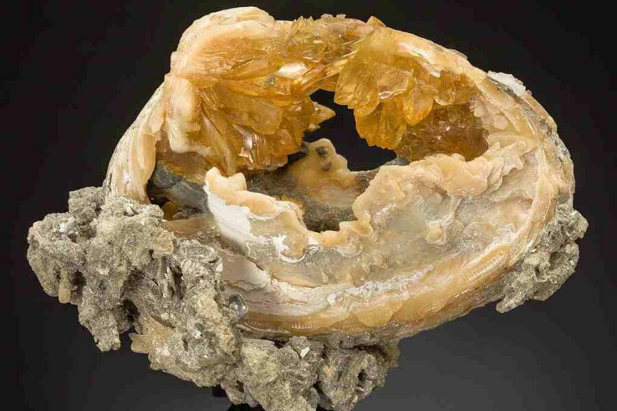 A stunning clam geode found in Virginia