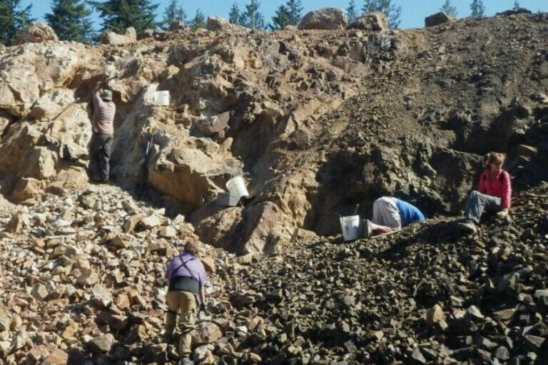 33 Amazing Places To Find Geodes In Washington In 2024