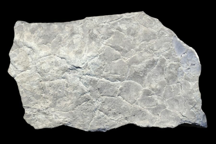 A big specimen of a white Limestone on a black background