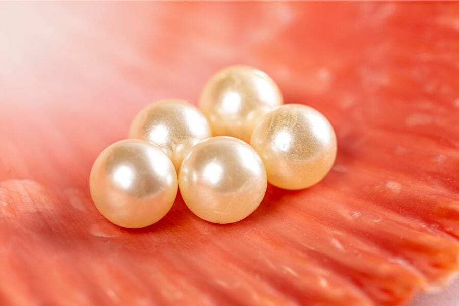 Five pieces of round, white Pearls on an orange shell