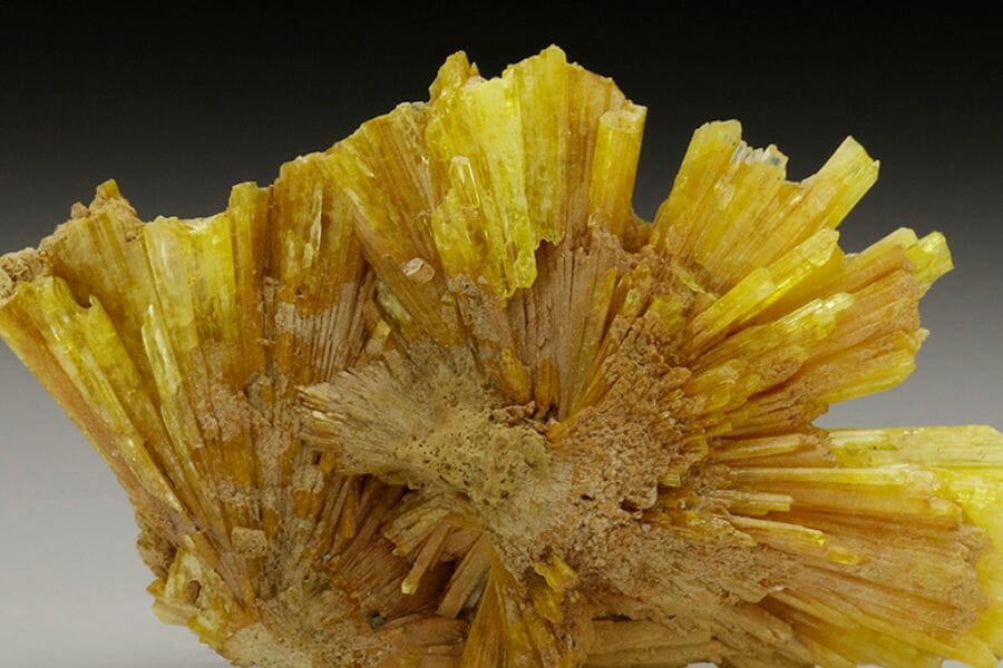 16 Dazzling Yellow Gems, Minerals, Crystals, and Rocks
