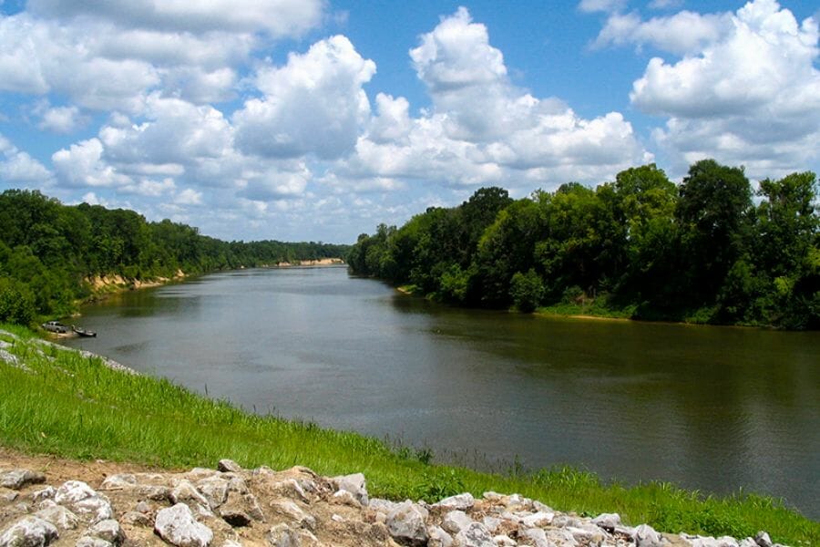 A scenic view of Black Warrior River including its surrounding landscape