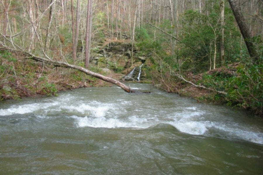 A look at the waters and surrounding trees at Hillabee Creek