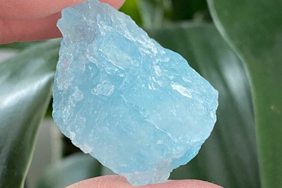 An elegant aquamarine found while crystal hunting in Colorado