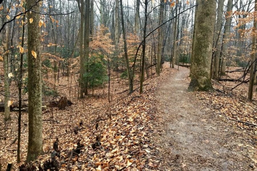 A roadside area at Carroll County