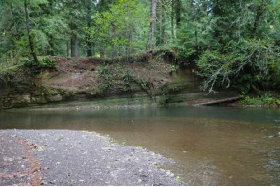 Clear Creek Oregon surrounded by trees and gravels