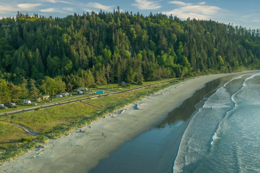 Crescent beach surrounded by lush trees 