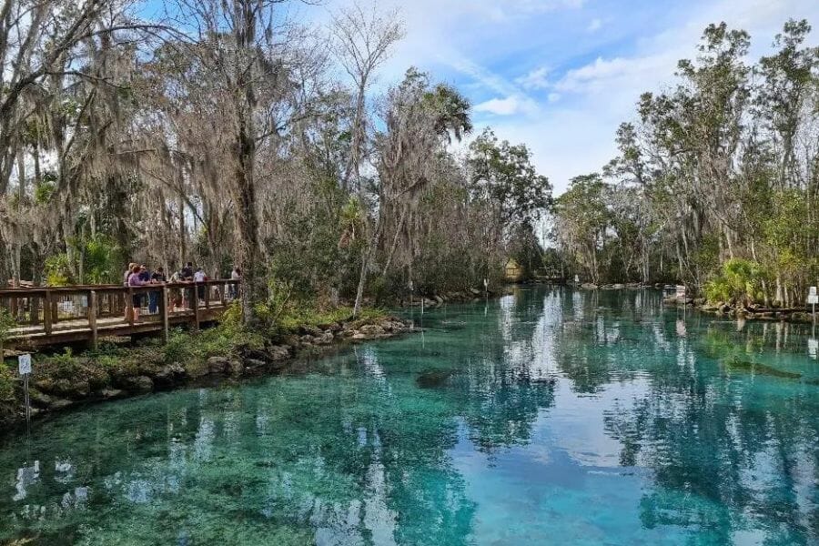 A scenic photo of the clear Crystal River