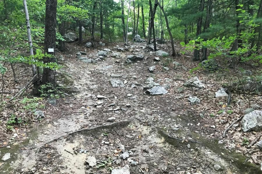 An area at Diamond Hill where you can find geode-like formations