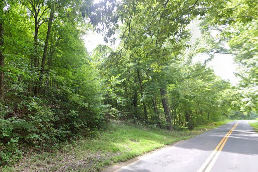 road lined with trees